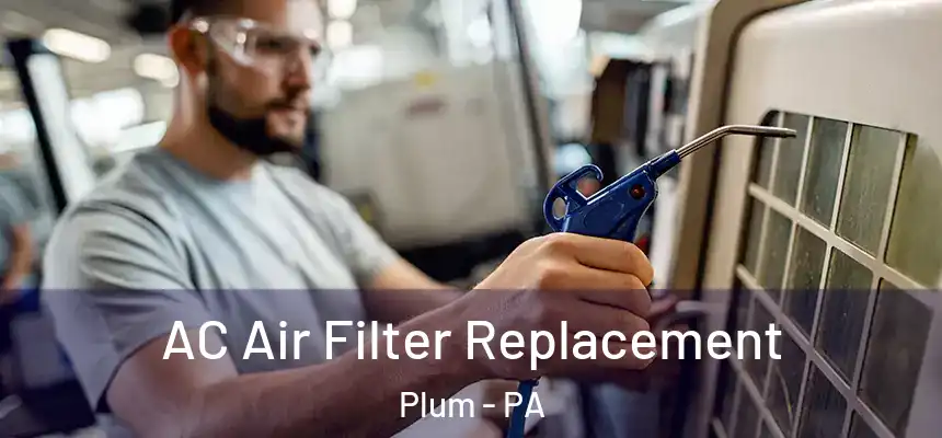  AC Air Filter Replacement Plum - PA