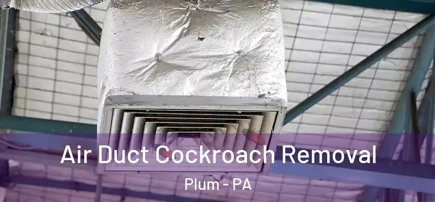 Air Duct Cockroach Removal Plum - PA