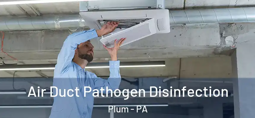  Air Duct Pathogen Disinfection Plum - PA