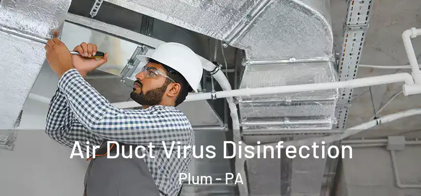 Air Duct Virus Disinfection Plum - PA