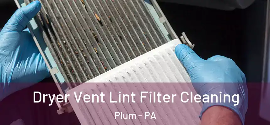  Dryer Vent Lint Filter Cleaning Plum - PA
