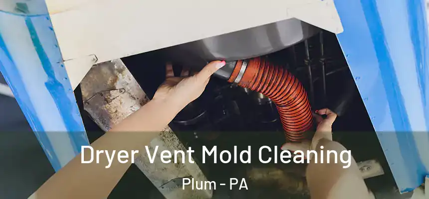  Dryer Vent Mold Cleaning Plum - PA
