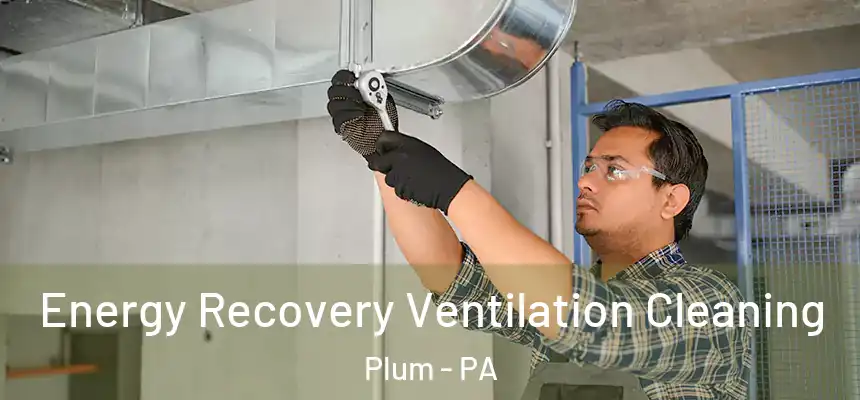  Energy Recovery Ventilation Cleaning Plum - PA