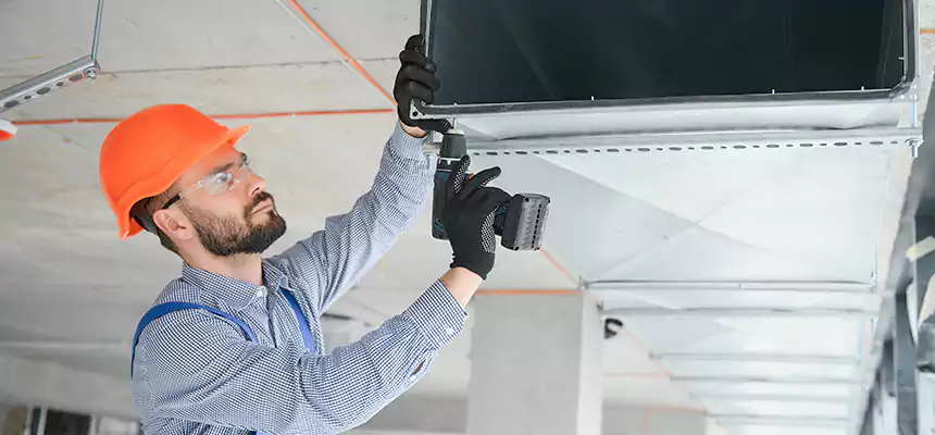 Roof Cap & Exterior Hood Lint Buildup Removal – Plum