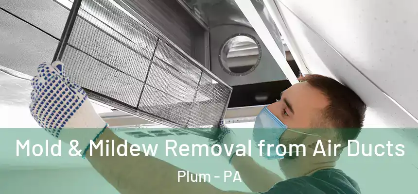 Mold & Mildew Removal from Air Ducts Plum - PA