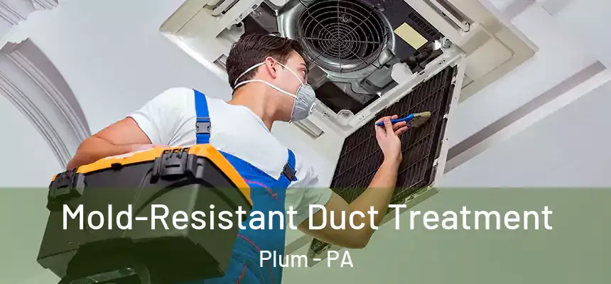  Mold-Resistant Duct Treatment Plum - PA