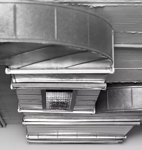 Professional Air Duct Pest Removal in Plum, PA