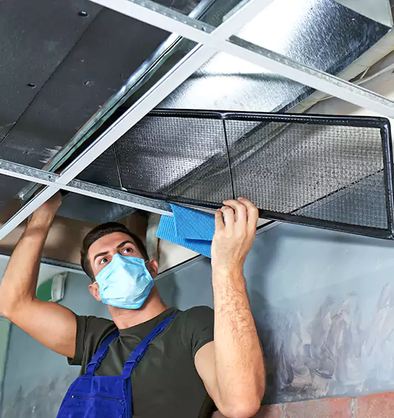 Professional Air Duct Pollen Cleaning in Plum, PA