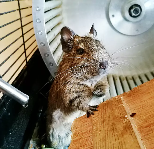 Why Homeowners & Businesses Trust Us Plum, PA