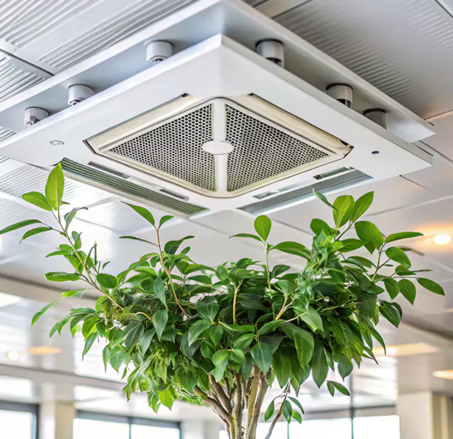 Why Homeowners & Businesses Trust Us in Plum, PA?